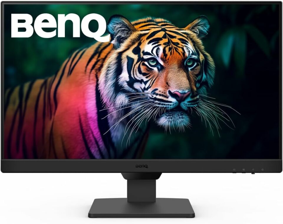 BenQ GW2490