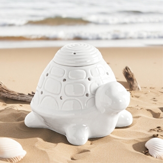 Brûleur à huile ou fondant tortue Franklin